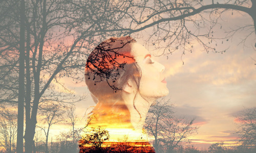 Das Impostor Syndrom