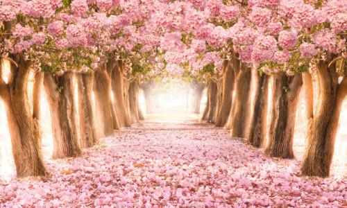 Bleib Dir treu - geh' Deinen Weg