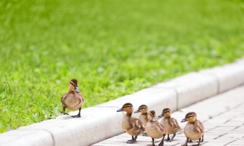 Warum es sich lohnt, andere im Mittelpunkt stehen zu lassen