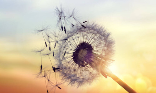 Wenn Small Talk schwerfällt